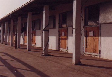 Les boxes extérieurs du Haras d'As en 1990