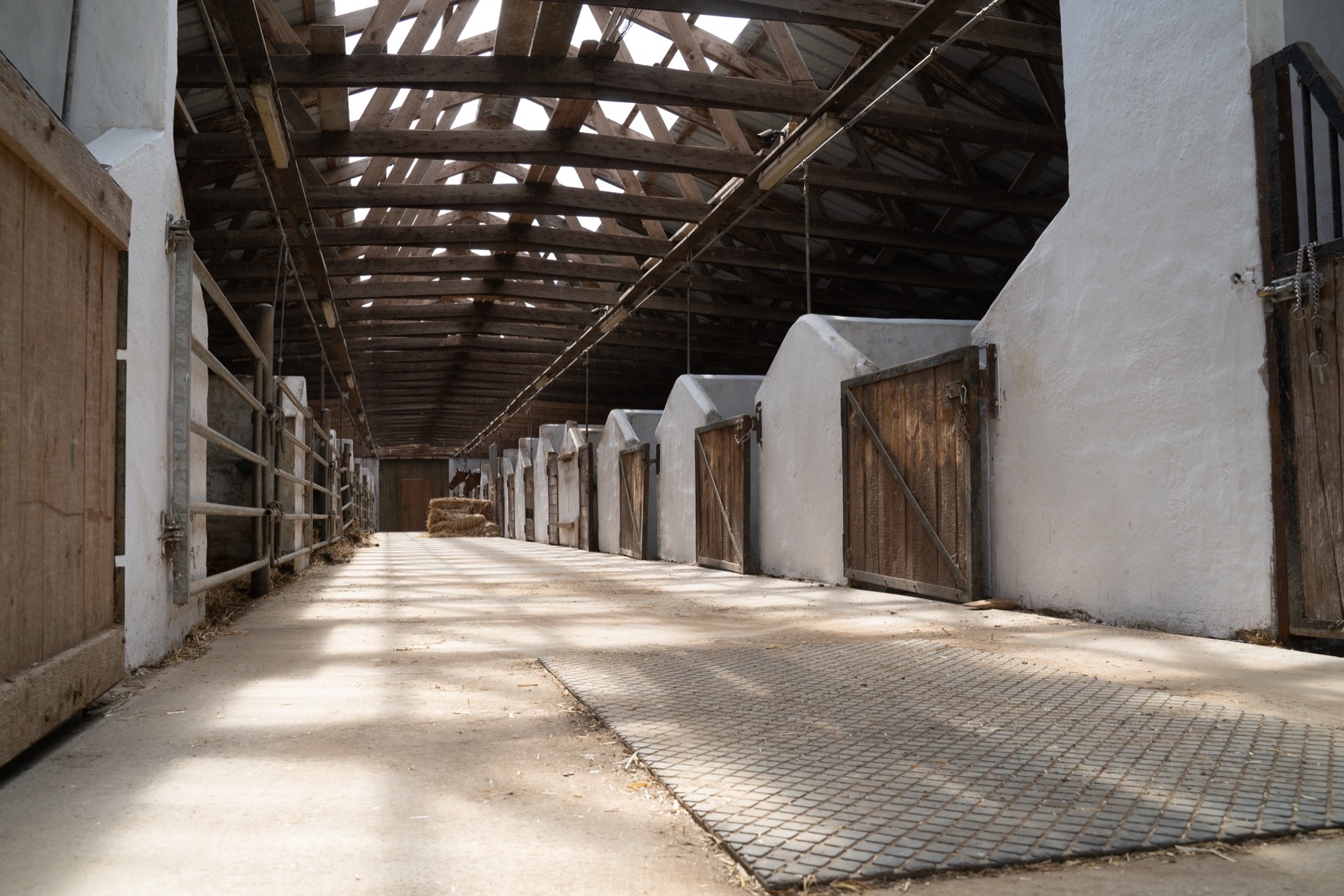 Boxes intérieurs du Haras d'As