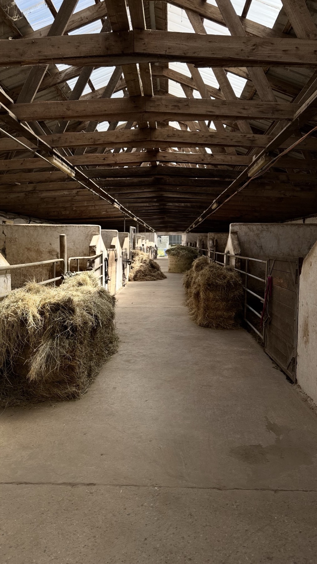 Allée des boxes intérieurs du Haras d'As